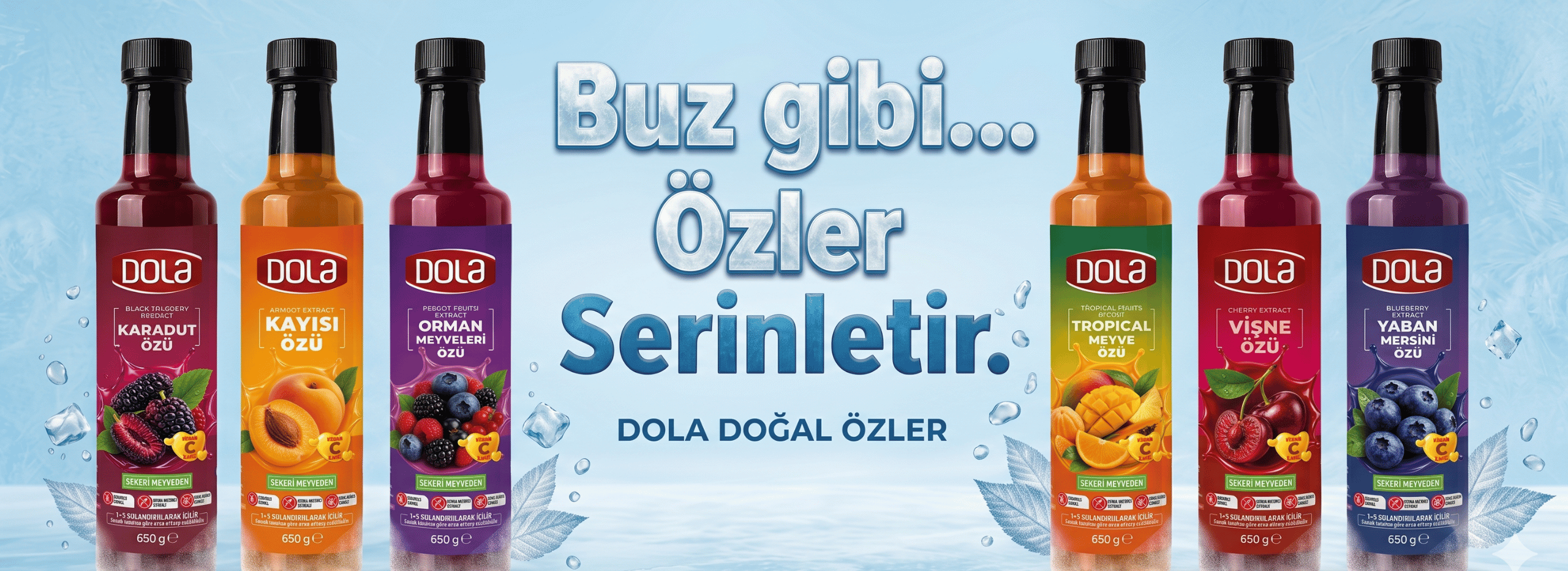 Meyve Özü