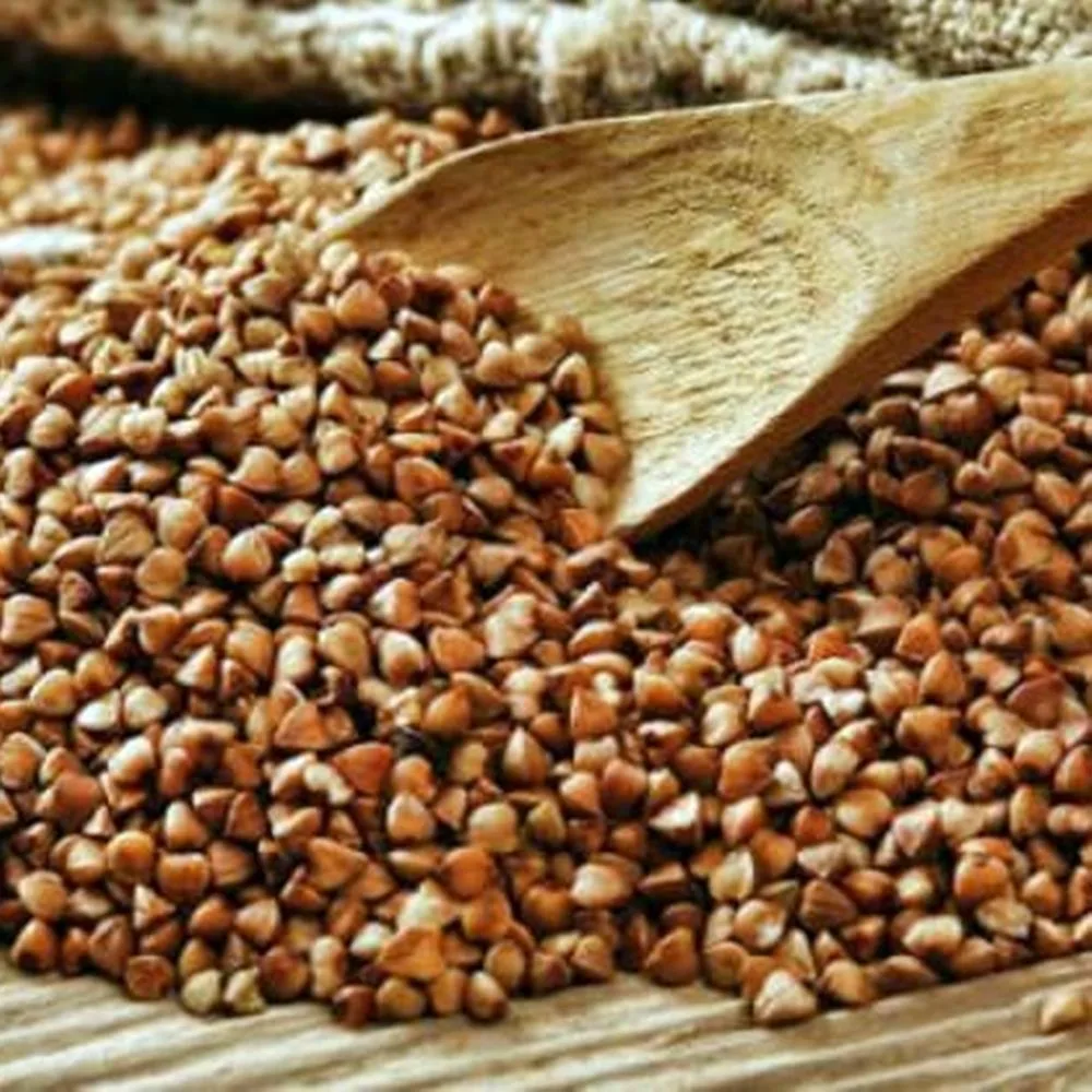 Dola Glutensiz Kavrulmuş Karabuğday Tane 25 kg
