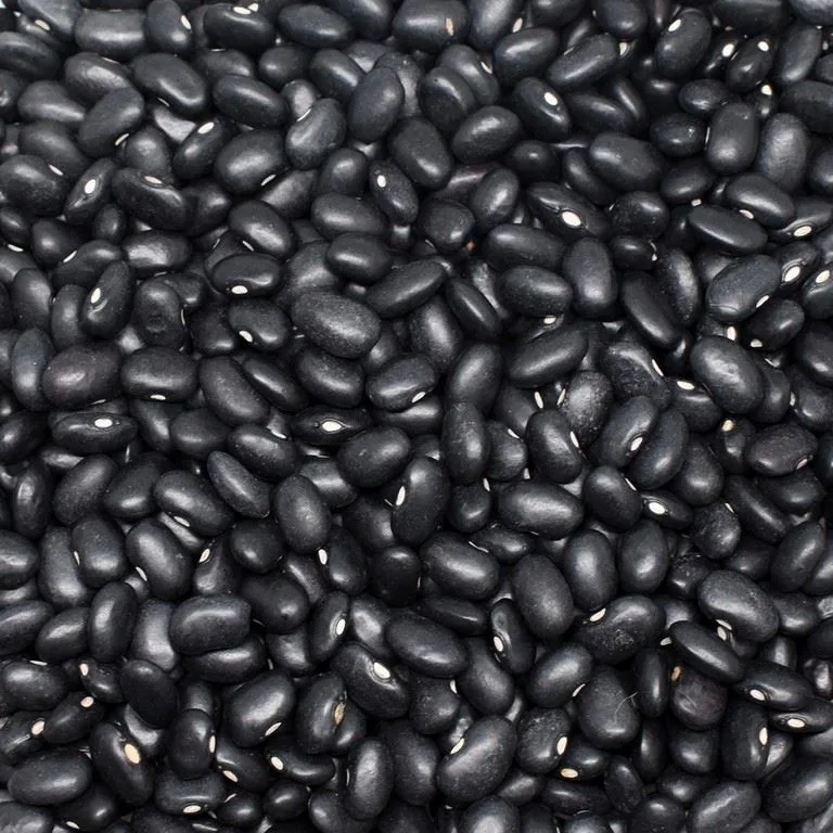 Dola Siyah Fasulye 1 kg